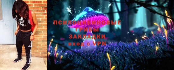 ешки Вяземский
