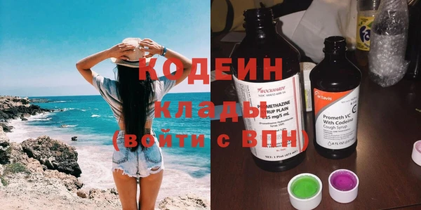 ешки Вяземский