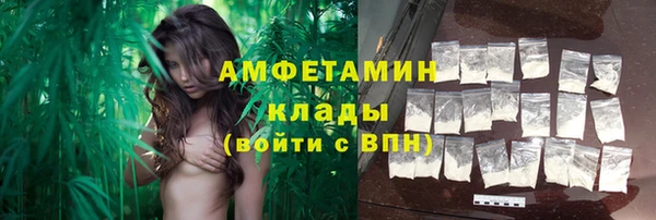ешки Вяземский