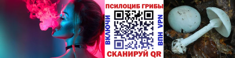 KRAKEN вход  Звенигород  Галлюциногенные грибы GOLDEN TEACHER 